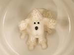 dog poodle white